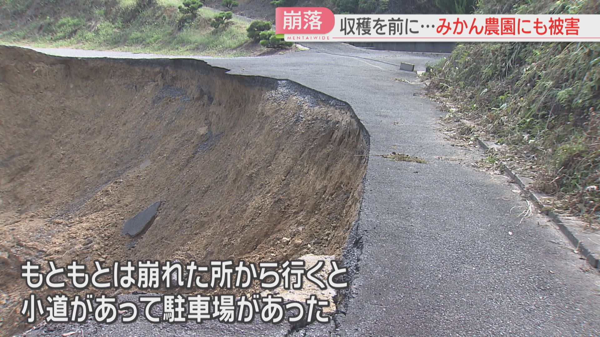 大雨】「木が見えるはずなのに青空が」みかん農園で崖崩れ 収穫を前に