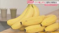市税収入は3699億円で過去最高となる見込み 地価の上昇やマンション