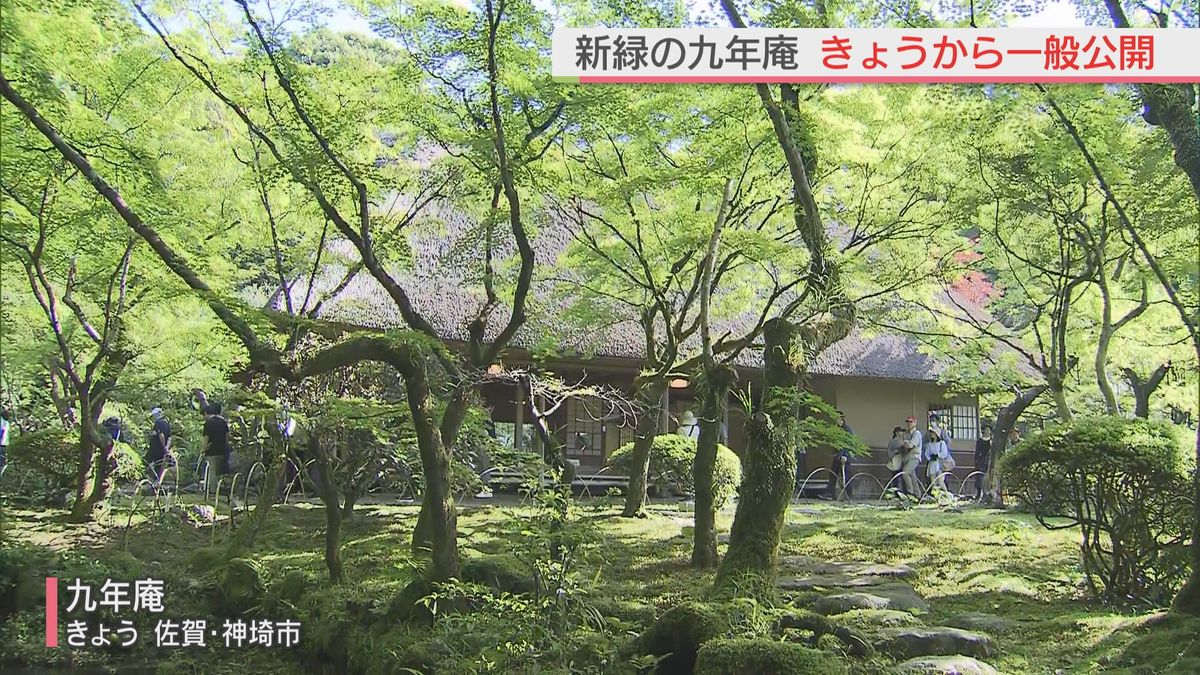 国指定の名勝「九年庵」　 新緑に包まれた庭園を一般公開