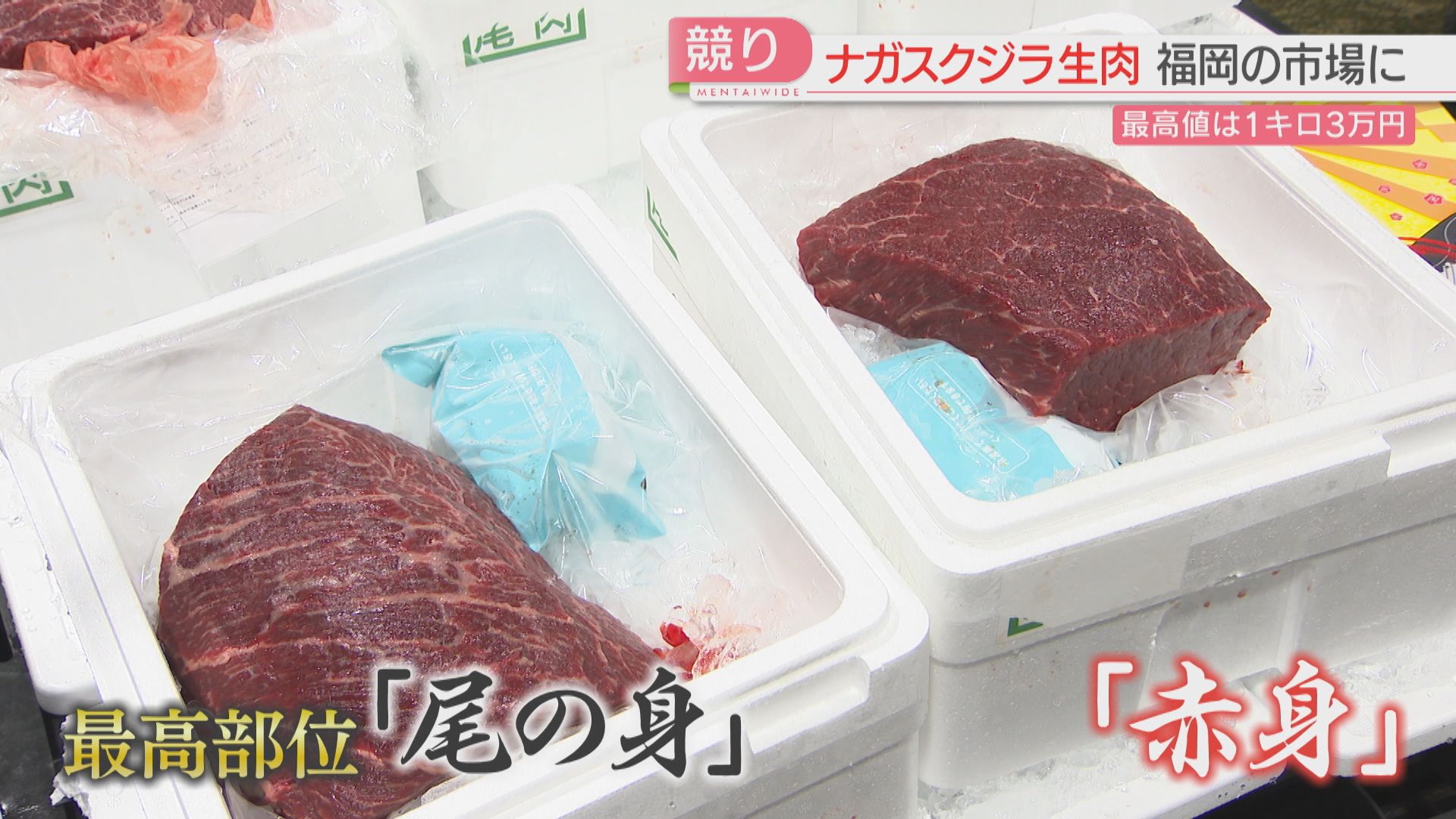 最高1キロ3万円！「ナガスクジラ」生肉の競り 商業捕鯨が再開して九州