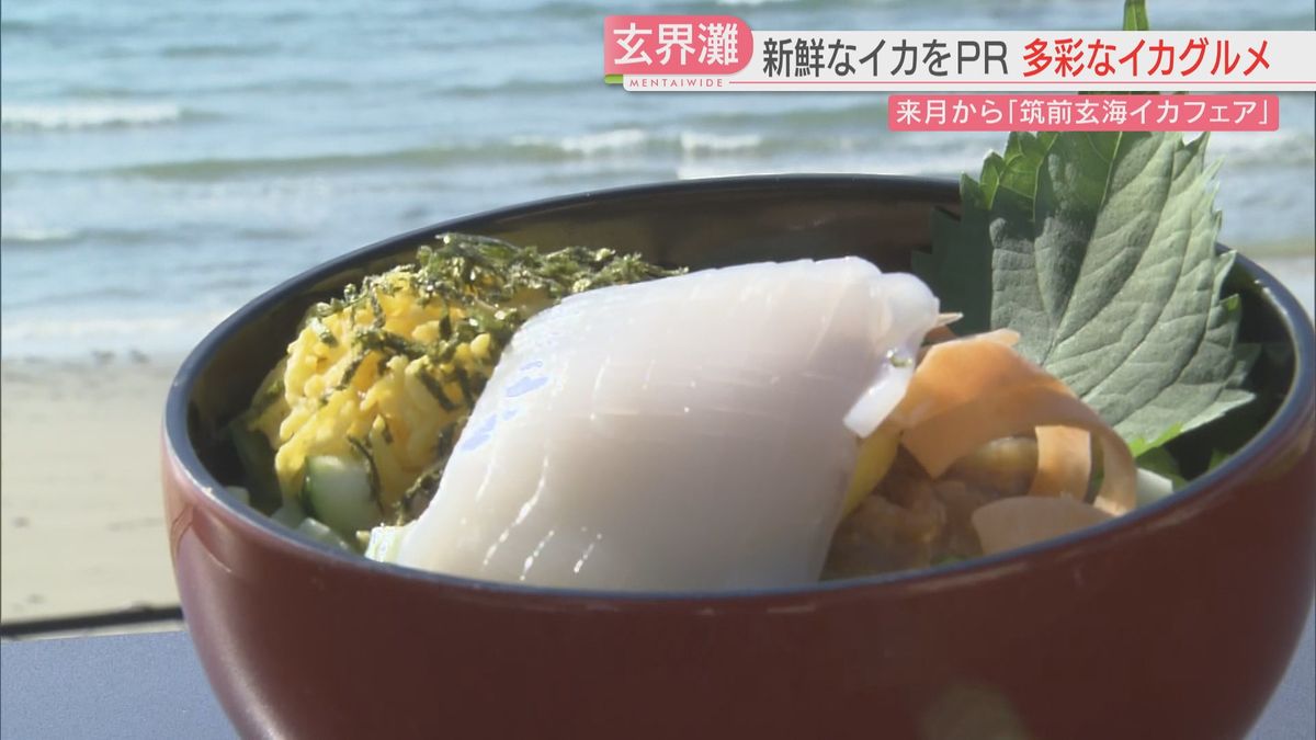 “筑前玄界”のイカグルメいかが　定番の刺身以外にもおいしい食べ方を紹介