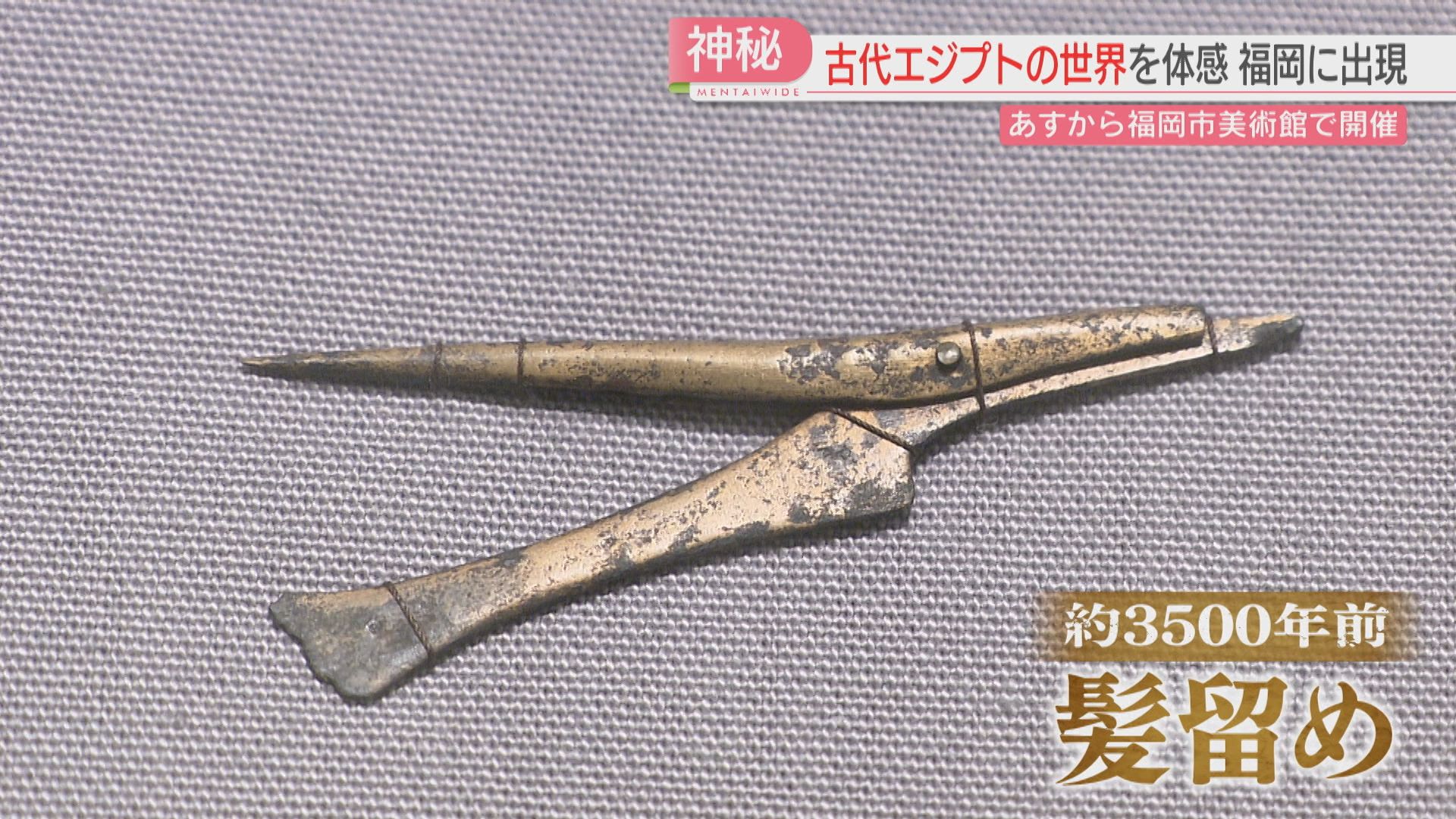 古代エジプト文明のナゾと神秘に迫る特別展が福岡に 150点の中には当時