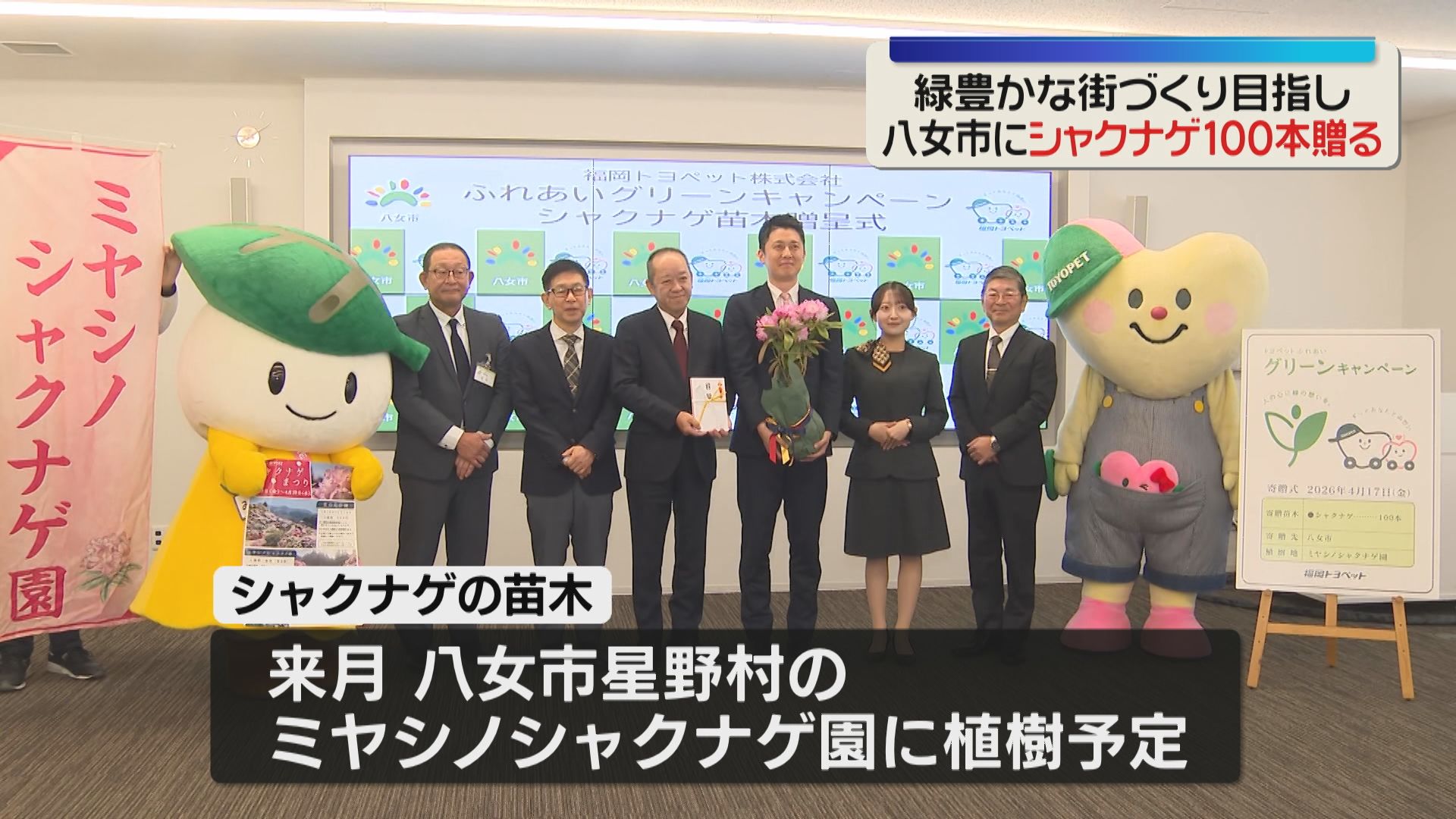 シャクナゲの苗木100本 福岡トヨペットが八女市に贈呈 福岡（2026年4月