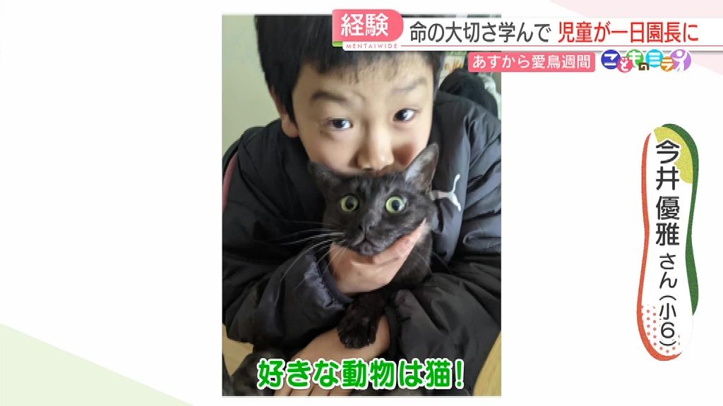 好きな動物は猫