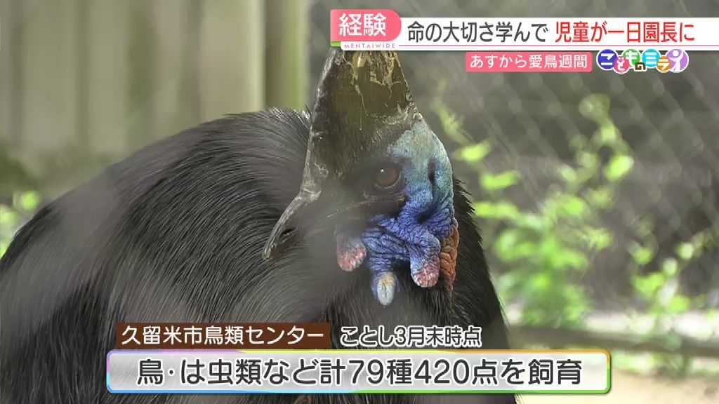 79種420点の生き物を飼育