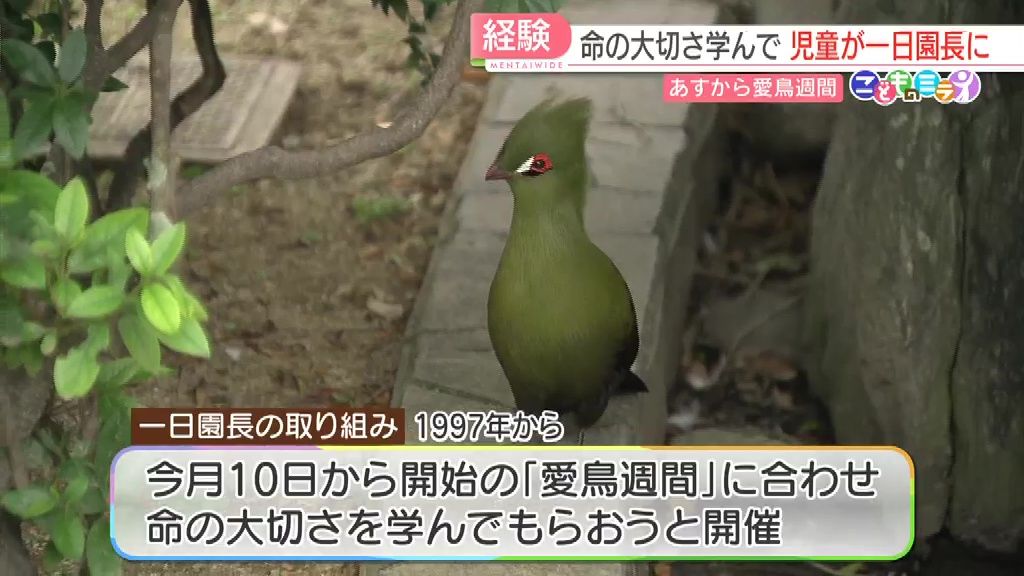 10日から愛鳥週間