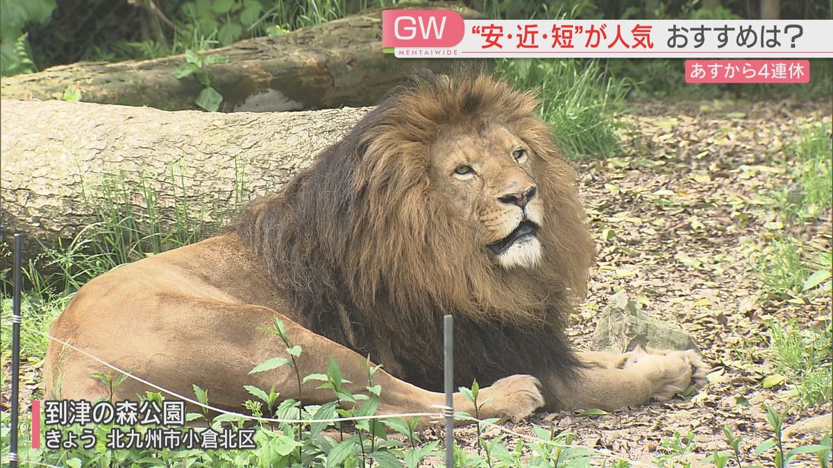 到津の森公園