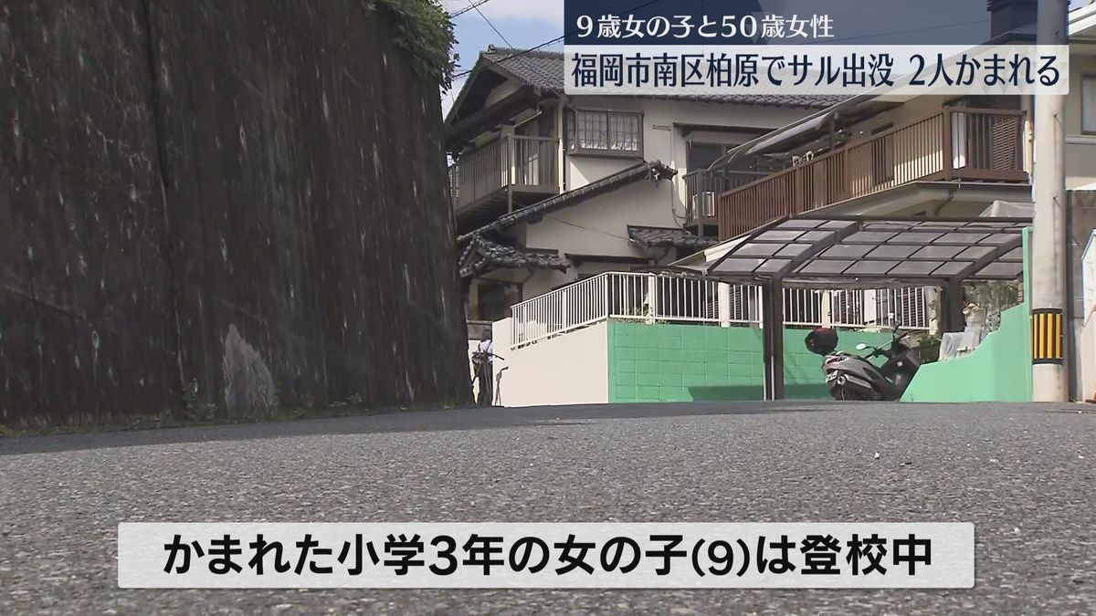 「両太もも3か所ずつくらい」小3が住宅街でサルにかまれる　50歳の女性も被害