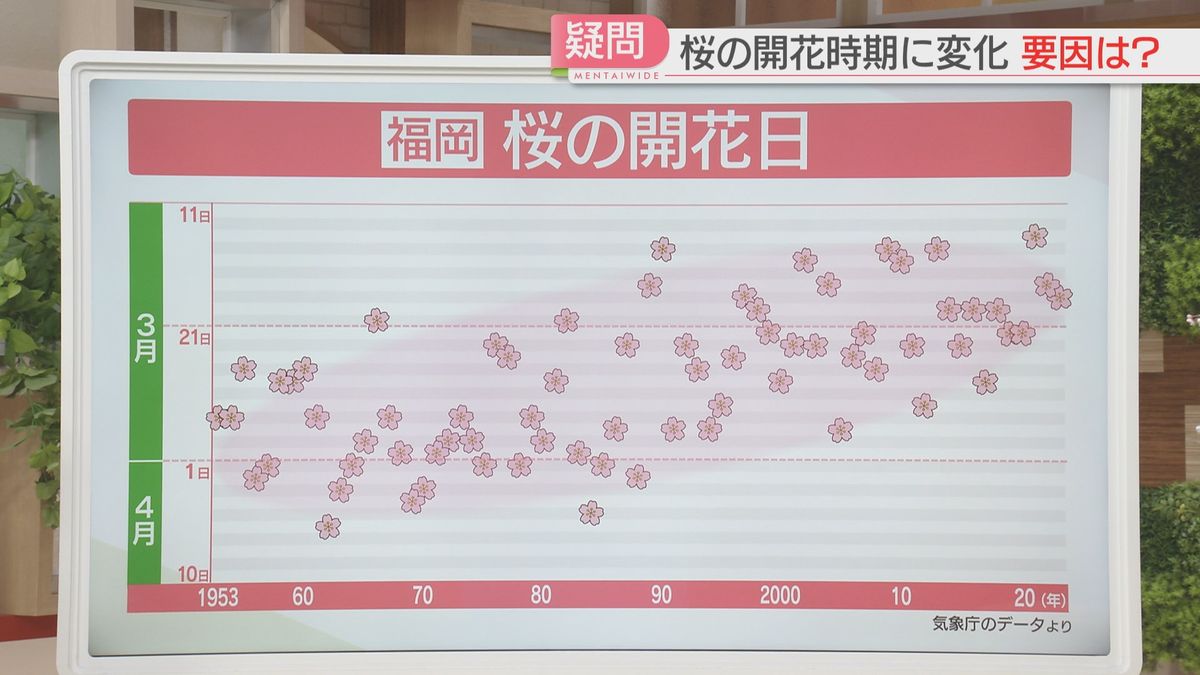 桜の開花日は70年で徐々に早く