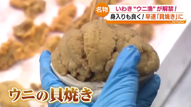 いわき名物ウニ漁が解禁 「ウニの貝焼き」販売へ 小名浜で初水揚げ約40