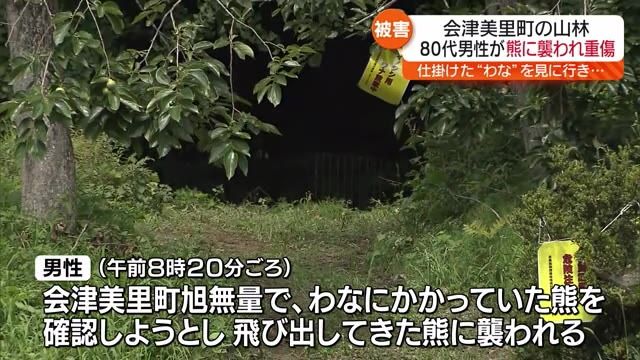 仕掛けたわなを見に行き熊に襲われる　会津美里町の猟友会の80代男性がけが・福島県