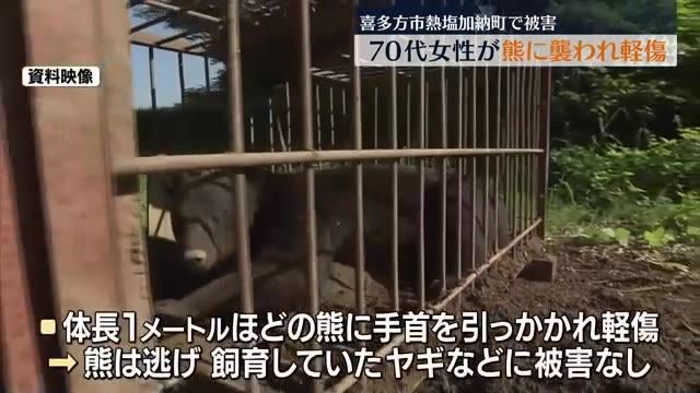 喜多方市のヤギ小屋で熊に襲われ70代女性が軽傷か　飼育していたヤギに被害なし・福島県
