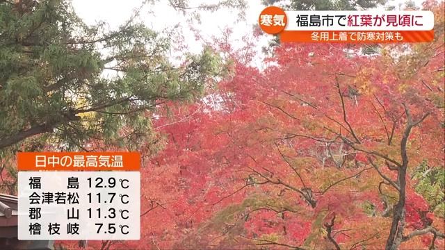 前日より10度以上気温が下がる中　福島市の文知摺観音の紅葉が見ごろに・福島県