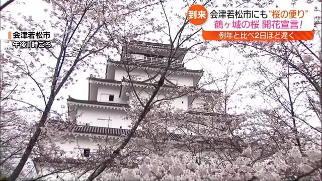 【8日から一気に…鶴ヶ城の桜が開花】桜が見頃を迎える中　福島県内は広い範囲で雨