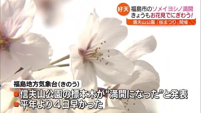 「ドキドキする…」県内各地で桜が見ごろ　公立小学校では約1万2千人が入学式【福島県】