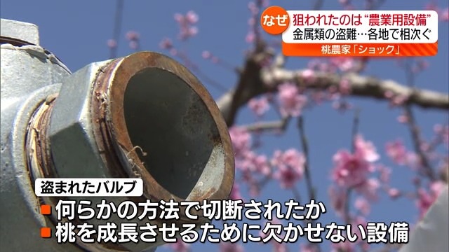 【相次ぐ金属製部品の窃盗被害】福島県内では桃畑の金属バルブや橋名板が狙われ…