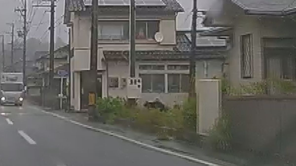 画像が削除されました