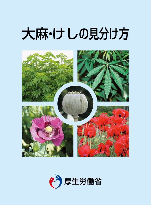 厚生労働省『大麻・けしの見分け方』