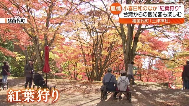 「台湾でも赤い葉はあるが、日本のものとは違う」外国人も見とれる土津神社の紅葉　