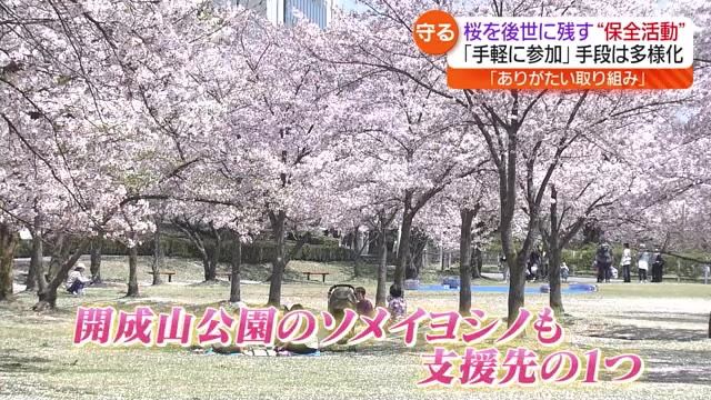 「ありがたい取り組みです」キリンビールにふるさと納税でも…“桜”を守るための取り組み【福島県】