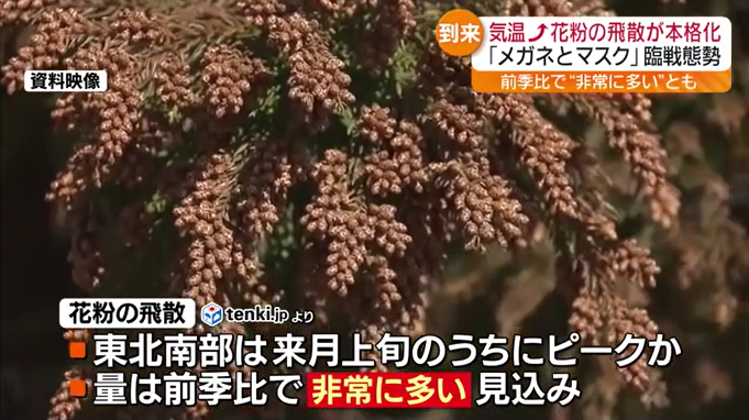 暖かくなると気になる“花粉”　前シーズンより「非常に多い」　街の人もすでに対策　福島県