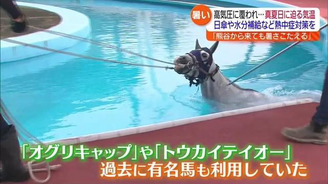 福島でも“真夏に迫る暑さ”オグリキャップも入った“馬のプール”もスタート！