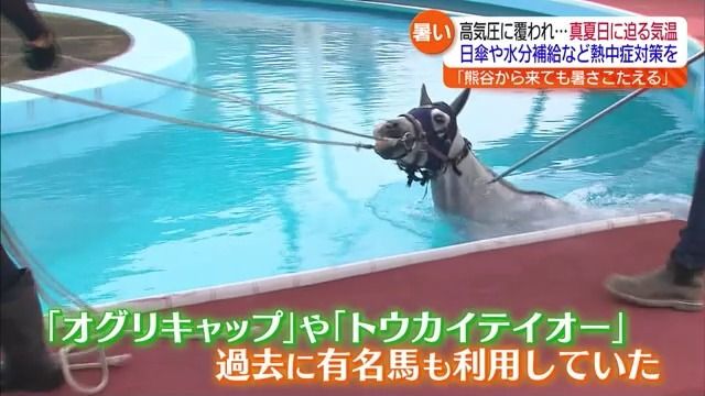 福島でも“真夏に迫る暑さ”オグリキャップも入った“馬のプール”もスタート！