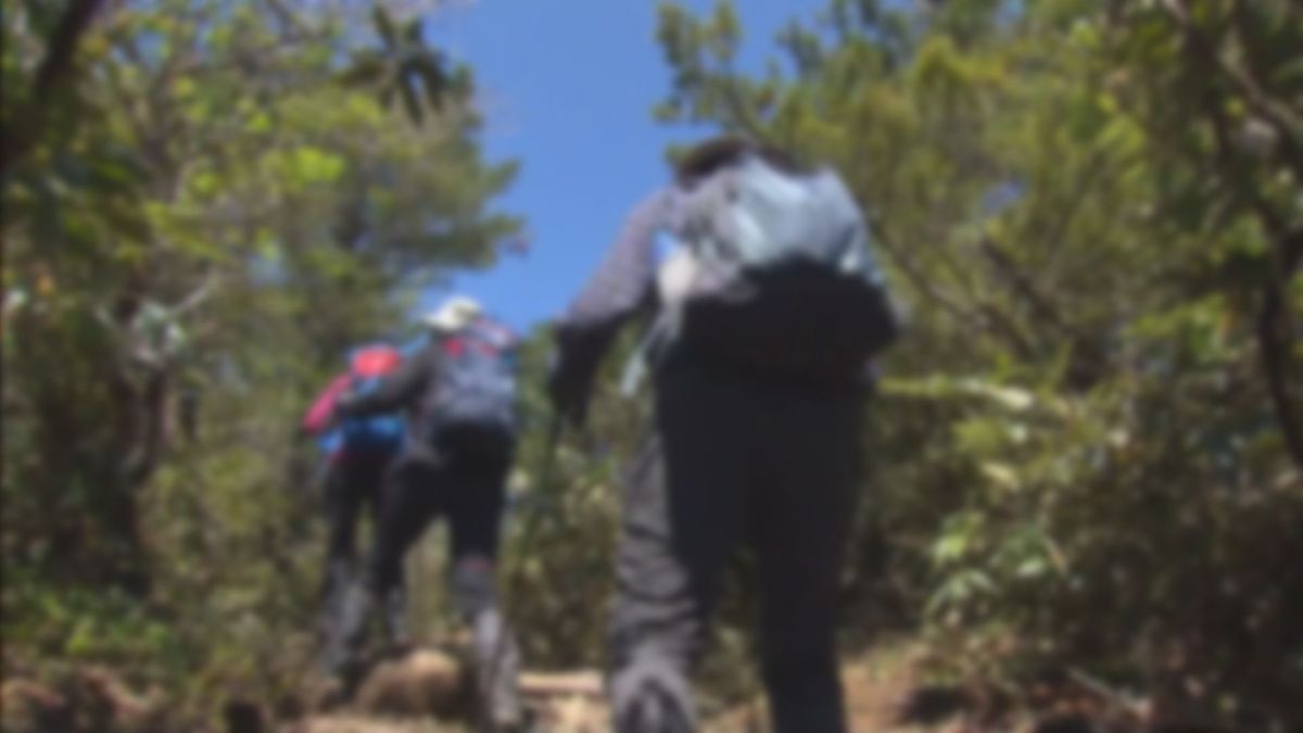 昭和村の山できのこ採りの東京の60代男性が遭難　一緒に入った兄はヘリで救出・福島