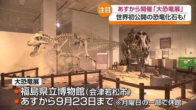 世界初公開の恐竜化石も 会津若松市で「大恐竜展」開幕へ 福島（2026年