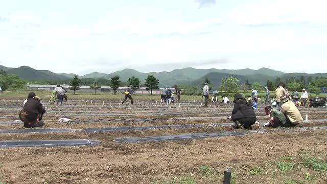 福島、浪江など今年初の真夏日　熱中症の人も　郡山市では親子で農業体験　福島