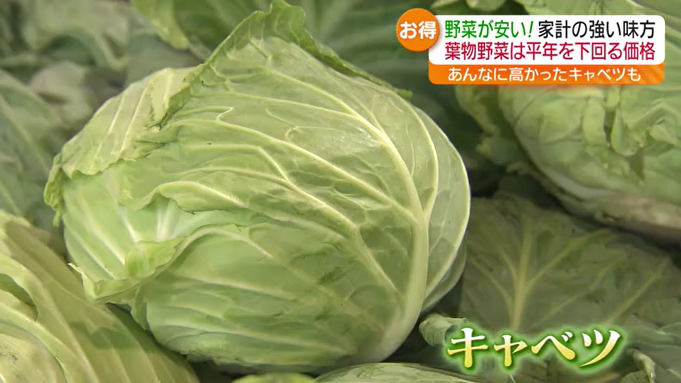 キャベツやレタスなどの葉物類「野菜」がお手頃価格に　家計にやさしい…飲食店でも嬉しい変化