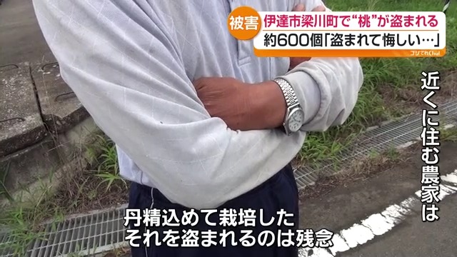 Work by Fukushima Central Television