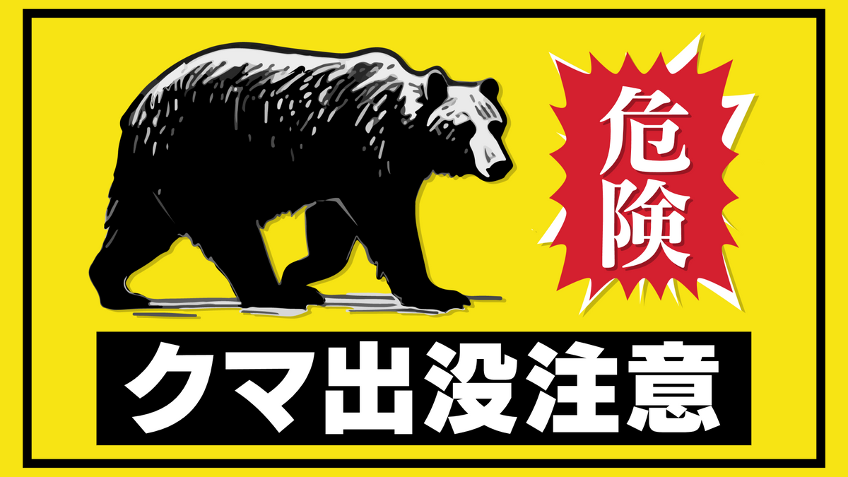 道路を横断する体長約1メートルのクマ 小野町小野山神北ノ前地内の町道上 福島(2026年8月21日掲載)|中テレNEWS NNN