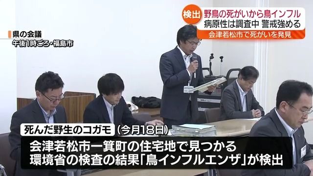 野生のコガモ1羽が鳥インフルエンザ“陽性”　福島県が発表