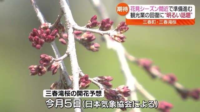 【台湾やベトナムからの観光客にも期待】新型コロナが5類に移行し初の花見シーズン・福島
