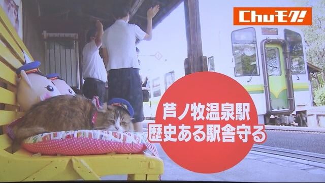 海外からの観光客にも人気　猫が働く駅「芦ノ牧温泉駅」　老朽化した駅舎を修繕へ　福島県