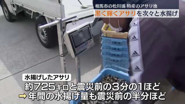 「ものはいい」相馬市の松川浦で特産のアサリ漁 福島