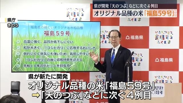コシヒカリに匹敵するおいしさ＆暑さに強い特徴も…県が新たに開発