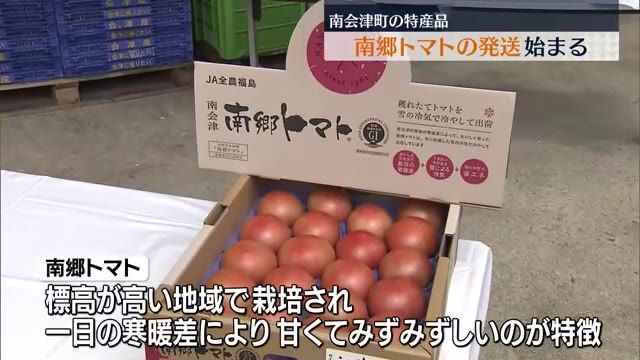 「独特の気候によって味が出来上がる」特産の南郷トマトの発送始まる　南会津町・福島