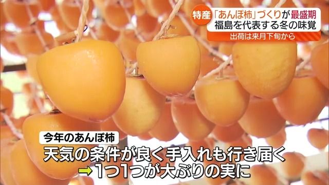 「おいしくできると思う」あんぽ柿づくりが最盛期・福島