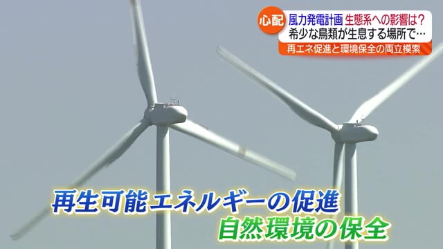 「クマタカの生息地に風力発電？」福島市や会津若松市で再生可能エネルギーに待ったの声