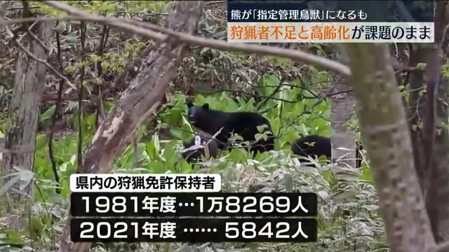 【このままでは熊の捕獲ができなくなる】福島県の狩猟免許保持者が40年前の3割に…