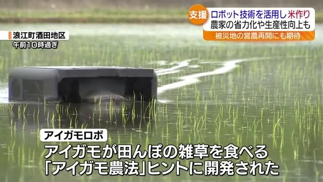 浪江町の田んぼで講習会　アイガモロボでコメ作り　除草作業の負担６割減…コメ収穫量増