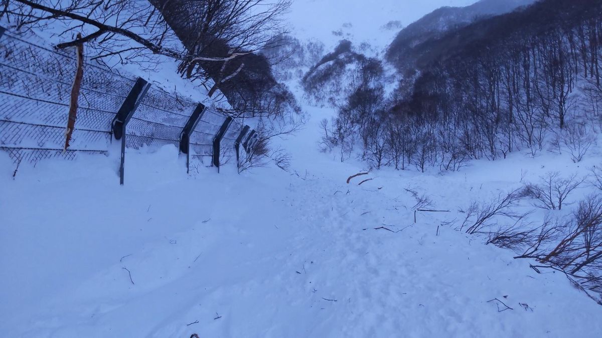 雪崩の現場　県提供