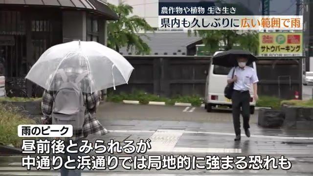 【福島県内も広く雨…最高気温は17日より9度前後も低く】農作物には恵みの雨か