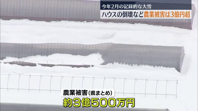 記録的な大雪被害…農業用ハウスなどの倒壊で被害額は約3億円　福島