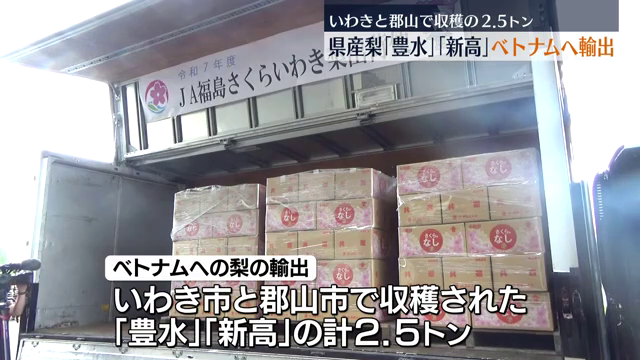 「非常においしい仕上がりに」甘さと味は上々！ふくしまの梨がベトナムへ輸出