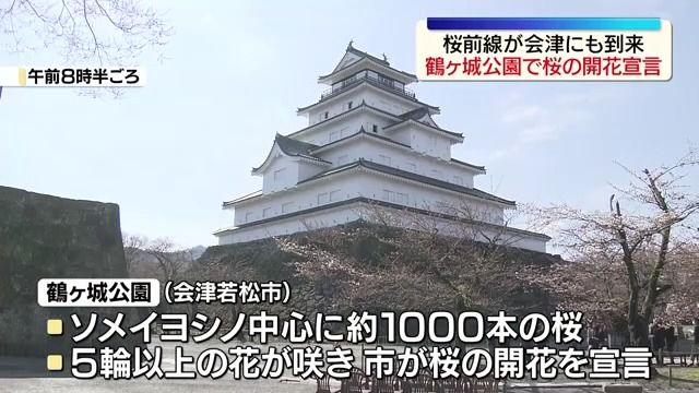桜前線が会津にも到来 鶴ヶ城公園で桜の開花が宣言（2026年4月2日掲載