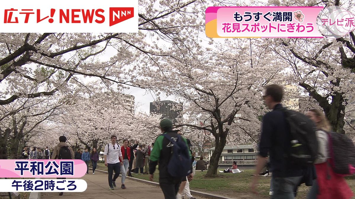 もうすぐ満開　広島県内の花見スポットは多くの人でにぎわう