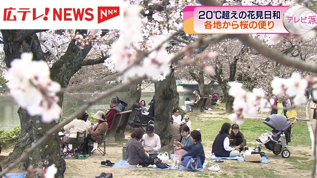 最高気温が20度を超えの広島県内各地は花見日和の陽気　広島市と県北から桜の便り　